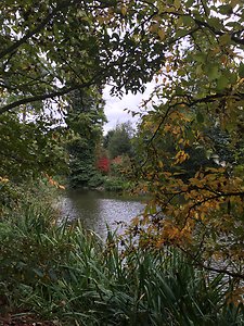 My Approach. Kew lake