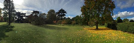 About Psychotherapy/Counselling. Kew ground